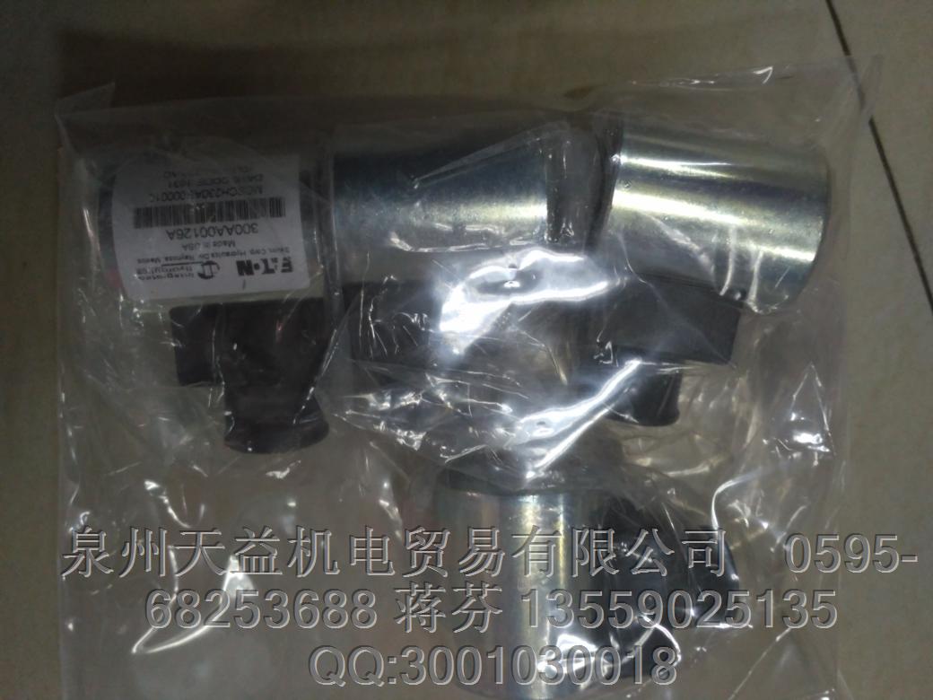 威格士 線圈   300AA00126A