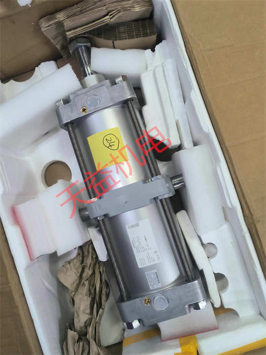 R480627351 1.jpg