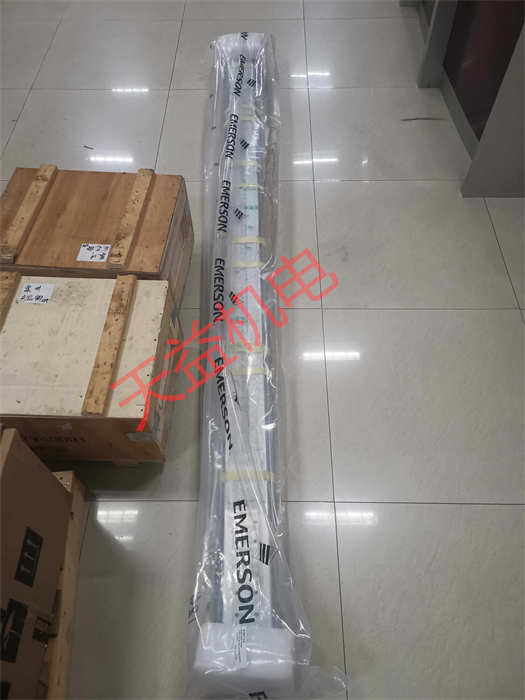 R480155390 1.jpg
